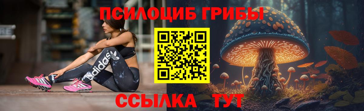 Ртищево  Псилоцибиновые грибы GOLDEN TEACHER  Вход с VPN 